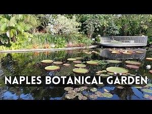 🌿 Naples Botanical Garden | A Stunning Tropical Oasis in Florida! 🌴✨