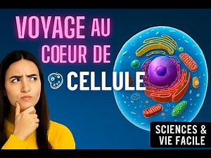 la cellule