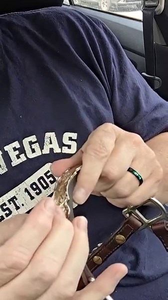 Deep cleaning a Show Halter