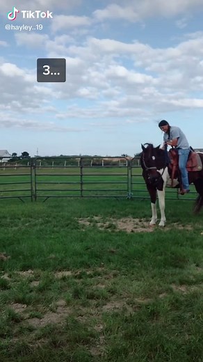 probably gonna get called an abuser from tik tok trainers 😂 #YouGotThis #justsmileandwave #bronc #ipromise #hesfine #wildhair