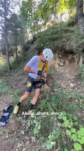 Cyclist Rescue Trapped Deer.