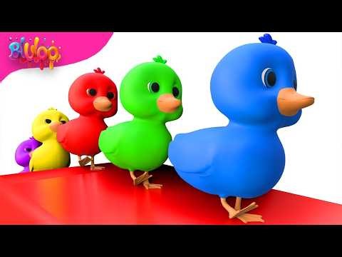 Five Little Ducks | Colorful Ducks Song | BluLoo Nursery Rhymes & Kids Songs