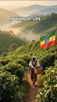 Ethiopia: The Heart of Coffee Culture #ethiopianhistory #talesofethiopia