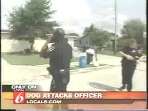 Aggressive Dog Tasered By Cop
