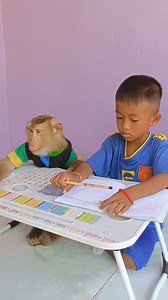 3.1K views · 108 reactions | Great Students Doing Homework At Home With Monkey | Sokya Video | Facebook