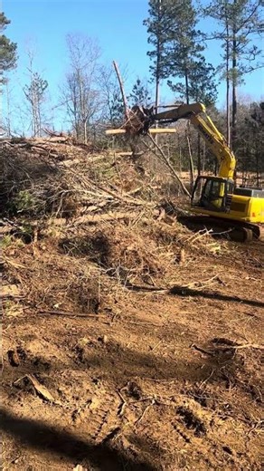 Tree Removal & Land Clearing in North Georgia : Bucktown Grading #landclearing #treecutting