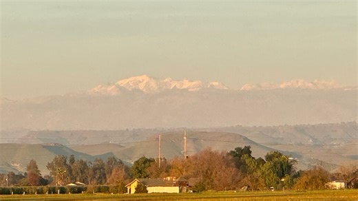 The forecast is for fog