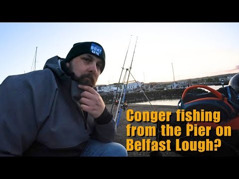 Conger Eel BREAKS My Rod! Night Fishing from the Pier | Belfast Lough Man