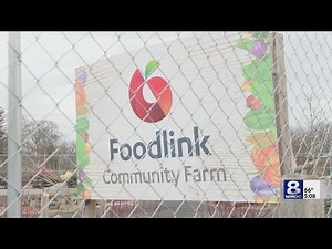 Foodlink addresses federal funding cuts to USDA food assistance programs