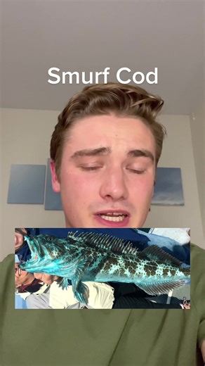 Blue Lingcod: A Unique Fish Found on the West Coast | Ling Cod Meat Turns Blue Raw