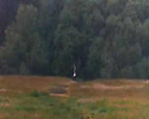 Monty Python - Endless running | Monty Python And The Holy Grail