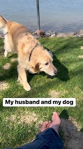 My husband with my dog Wilma. #goldenretriever #dogsterdogs #husband #welovedogs #retriever #instagolden #dogsofinstaworld #dogsofinstagram @dogs #men #goldenretrieverlife | Denali The Dog