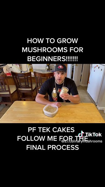 How to Make PF Tek Cakes for Beginner Mushroom Growers