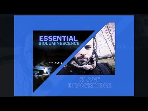 Essential Bioluminescence [2007] | Progressive Rock | Electro/Prog Song | No vocals