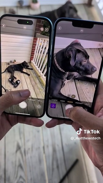 iPhone 13 VS iPhone 16 Camera Zoom Quality Test
