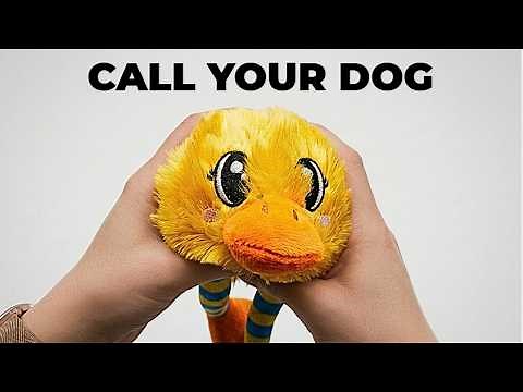 Dog Squeaky Toys: 9 Squeaky Sounds That Make Dogs Go Crazy 🐶 | (#8 Always Works)