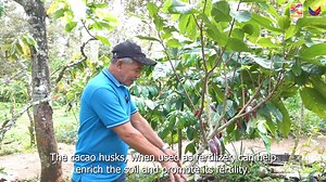 In line with the celebration of BIMP-EAGA Week, we are proud to feature the first Brunei Darussalam-Indonesia-Malaysia-Philippines East ASEAN Growth Area (BIMP-EAGA) Republic of Korea (ROK) Cooperation Fund (BKCF) recipient from Mindanao - University of Southern Mindanao's Developing Land Management Options for Diverse Cacao-Based System in Mindanao. BIMP East ASEAN Growth Area Week is celebrated from March 24-31. The sub-regional cooperation is also celebrating its 30th founding anniversary thi