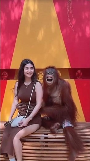 Monkey Kisses Girl | Sweetest Animal Friendship 🐵❤️#short ...