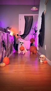 Strutting his stuff on the runway…Halloween runway! Which look was your favorite? 👻🧙🏻‍♂️ | 2Husketeers