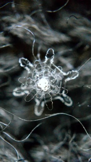 Alexey Kljatov macro snowflakes on Instagram: "Watch as this delicate snowflake surrenders to warmth, melting into a single drop of water. A reminder that even the most intricate beauty is temporary. #Snowflake #macro #EphemeralBeauty #MacroPhotography #MeltingMoments #CloseUpMagic #IceCrystal #VanishingBeauty #FleetingMoments #TinyMiracles #MicroWorld #PhysicsInAction #WaterCycle #ScienceOfSnow #LawsOfNature #MacroWorld #PhotographyMagic #MeltingAway #MacroMagic"