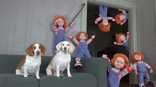 Chucky army surprises dog with unexpected car ride