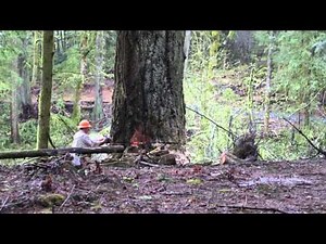 Logging in Washington State - April 2014