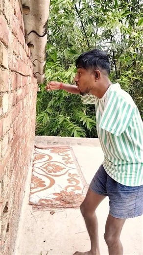 tac ke mau sac dep qua #gecko #kucing #tac ke #bebek #tokek #kucinglucu