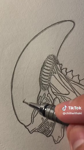 Step-by-Step Guide to Drawing the Xenomorph from Alien