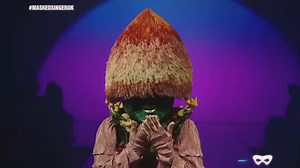 The Masked Singer UK (TV Series 2020– )