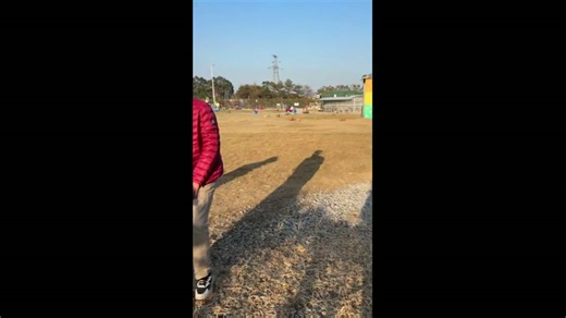 Man startled by playful alpaca kick in Guangdong, China