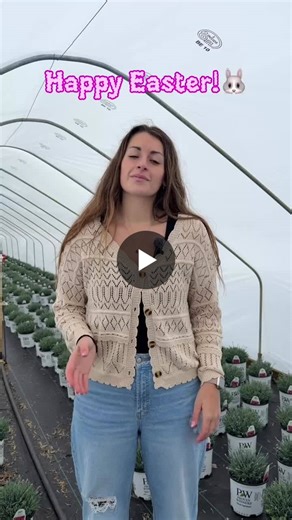 #happyeaster #medfordnursery #spring #plantoftheweek #easterbunny | Medford Nursery Inc