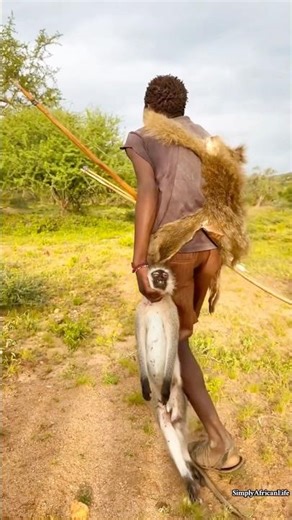 He Reacted Quickly… The Tree Was Empty in Seconds | Bush Awareness!