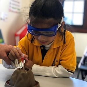 Contact us - Woodbury