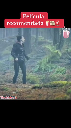 Cuentas recomendadas