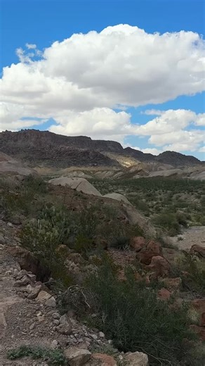 This is the best way to experience Big Bend. Miles of wild terrain, nonstop views, and that perfect mix of thrill freedom you can’t get from the roadside. The guides? Absolute pros. The vibes? Immaculate 🙌🏼 If you’re craving real adventure and not just a photo op, this is it. 10/10 would eat dust again. ⭐️⭐️⭐️⭐️⭐️ #atv #texas #bigbend #visittexas #visitbigbend | Far Flung Outdoor Center