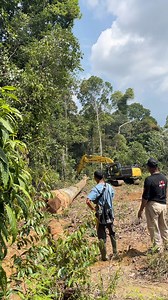 Changing the direction of a massive log to ease the hauling process. #IndonesianCulture #TraditionalBoat #RiverLife #HiddenIndonesia #PacuJalur | Kuantanesia
