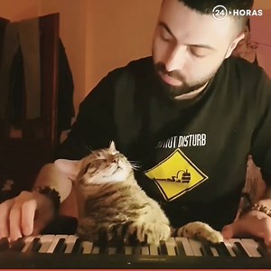 25M views · 182K reactions | Si esto no es amor, ¿entonces qué es?  | 24horas.cl | Facebook