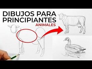 30 MINUTES OF DRAWINGS FOR BEGINNERS | ANIMALS