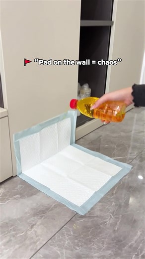 Daily Dog Potty Training Routine