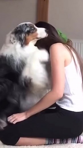 Heartwarming Dog Hug Moments to Brighten Your Day