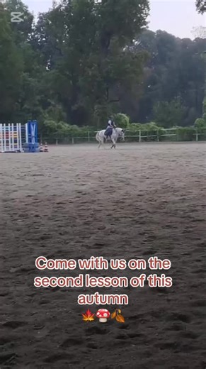 Second autumn lesson!! 🍁🍄🍂 #autumn #horse #riding #cold #pony