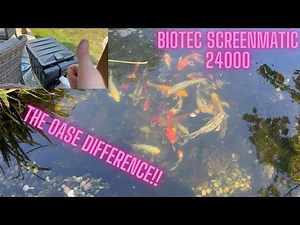 Follow up of the Oase Biotec Screenmatic 24000 in my Koi pond
