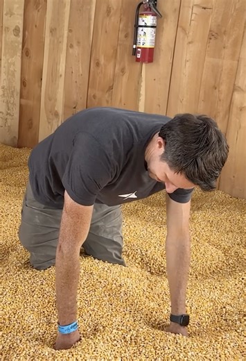 Why do grains defy gravity?