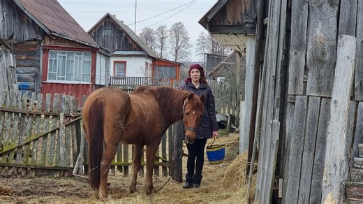 5.3K views · 102 reactions | Mountain village woman lifestyle living alone and cooking foods. | Country Food | Facebook