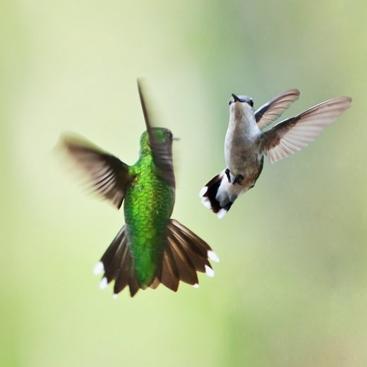 How to Motivate Your Team - Mindtools