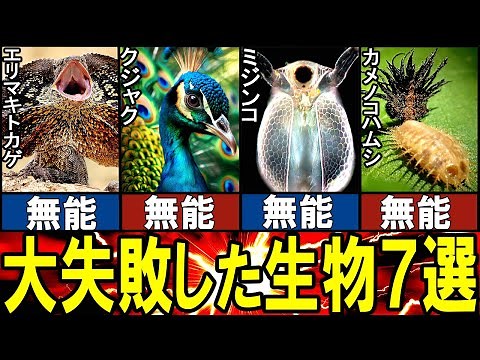 【閲覧注意】進化に大失敗した生き物７選【ゆっくり解説】【動物おもしろ雑学】