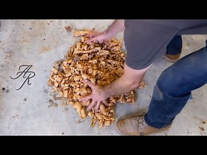 Making Toilet Paper From Wood Shavings....Almost!!