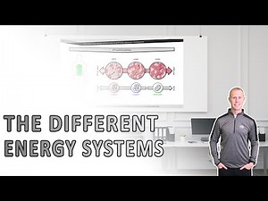 The different energy systems