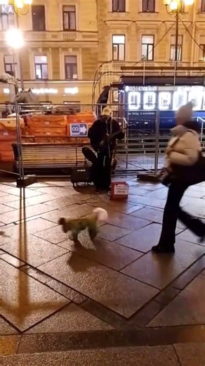 Linkin Park - Numb, уличный музыкант на Василеостровской 21.12.2025