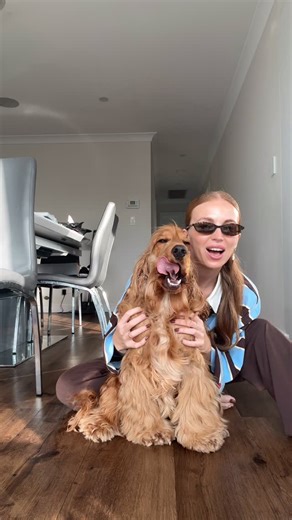 13K views · 1.3K reactions | If you’ve ever wondered if cocker...